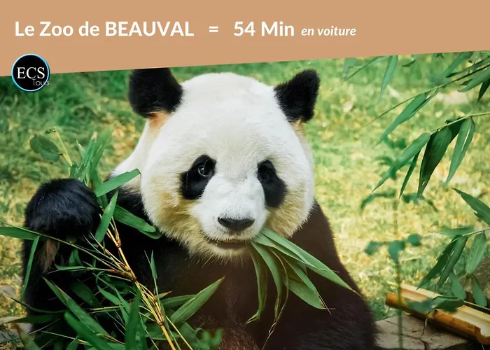 Bambou Zen - HyperCentre - Arrivée Autonome - Courtsejour37