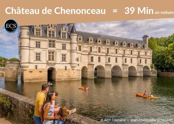 Bambou Zen - HyperCentre - Arrivée Autonome - Courtsejour37