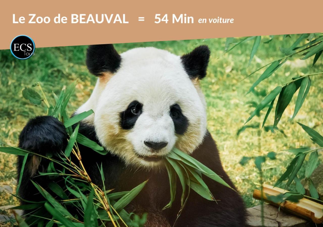 Bambou Zen - Hypercentre - Arrivée Autonome - Courtsejour37 Appartement